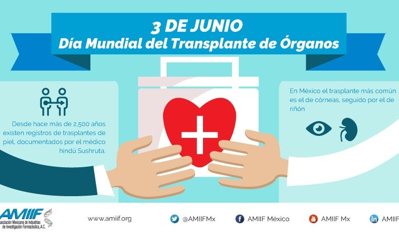 Día Mundial del Donante de Órganos