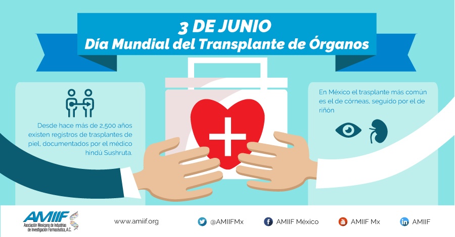 Día Mundial del Donante de Órganos