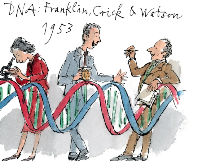 icono ADN Rosalind Franklin James Watson y Francis Crick